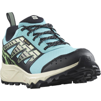 SALOMON shoes Wander GTX W blue radiance/vanilla ice/green ash