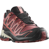 SALOMON shoes XA Pro 3D V9 GTX W cow hide/black/faded rose