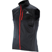 SALOMON Fast Wing black du vet