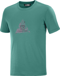 SALOMON T-krekls Explore Blend Tee grön