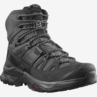 SALOMON skor Quest 4 GTX svart