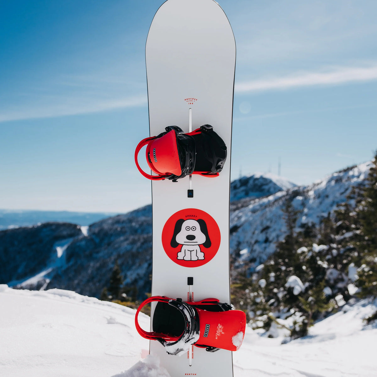 BURTON Process good dog snowboard