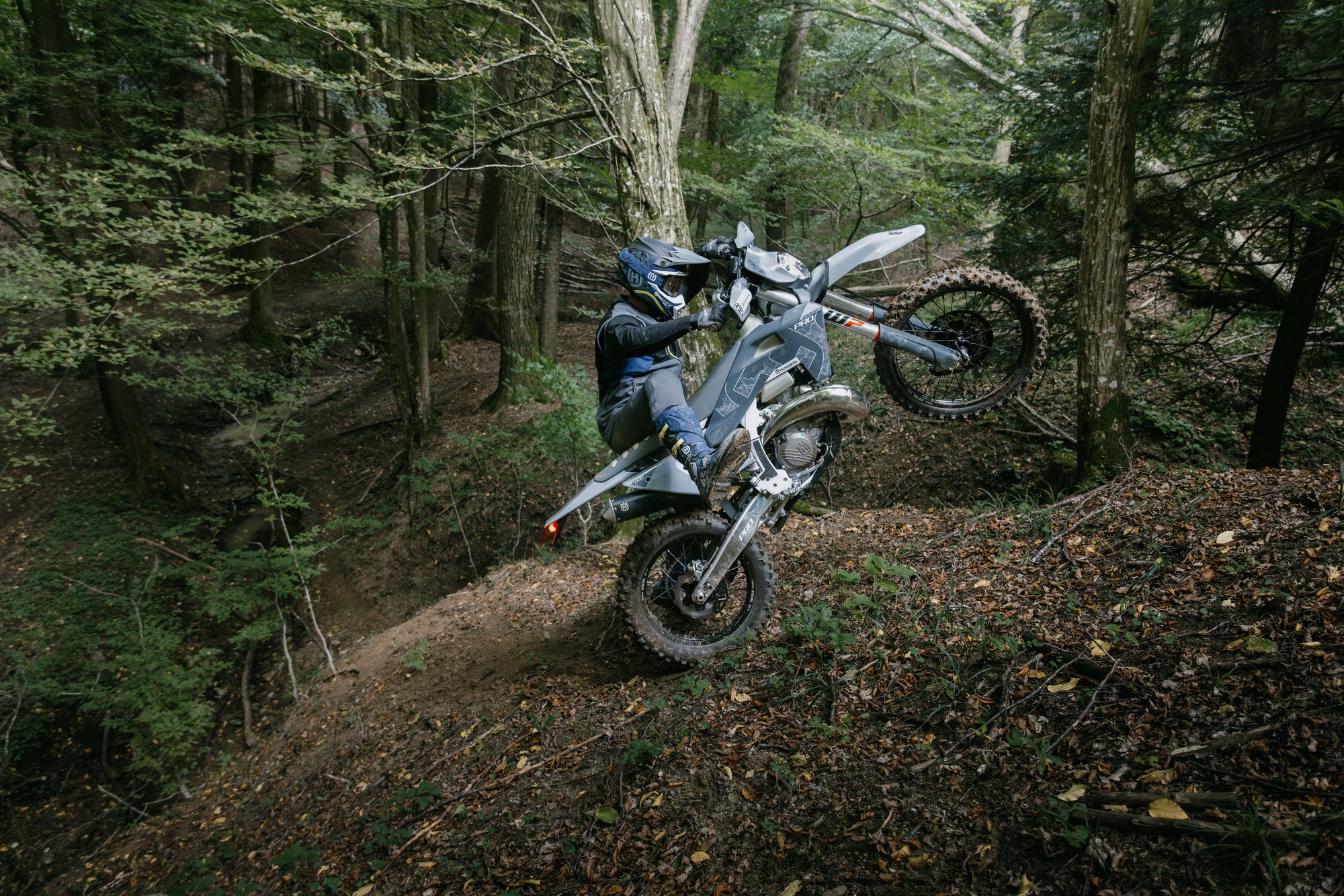 TE 300 Pro