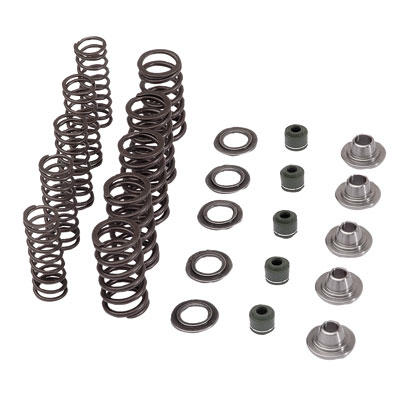 HUSQVARNA valve spring Kit Intake FC 250 '16-'22