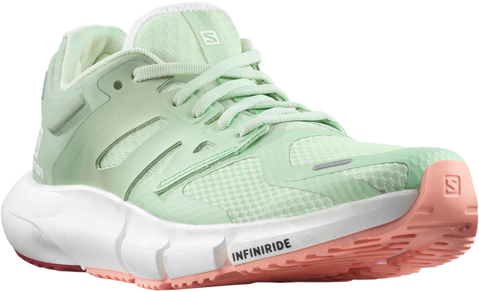 SALOMON shoes Predict 2 W spray/granite green/blooming dahlia