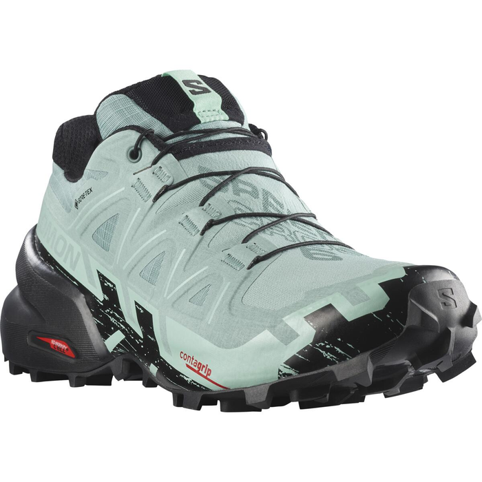 SALOMON shoes Speedcross 6 GTX W aquifer/black/yucca