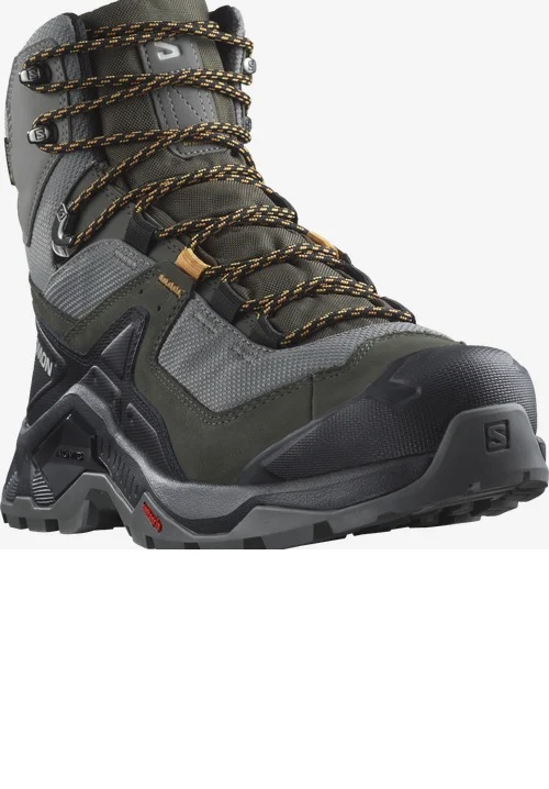 SALOMON shoes Quest Element GTX pewter/beluga/buckskin