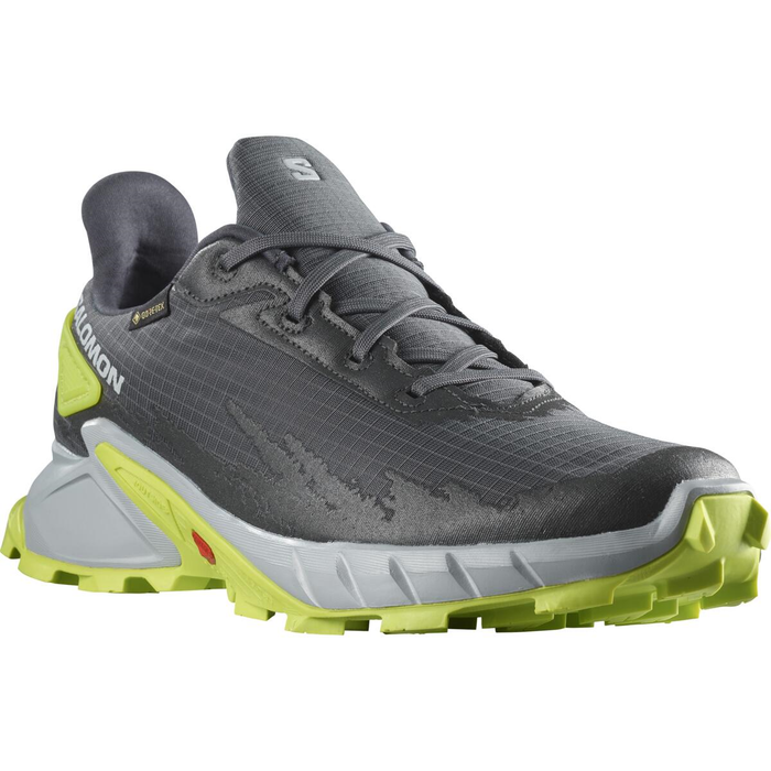 SALOMON shoes Alphacross 4 GTX ebony/pearl blue/acid lime