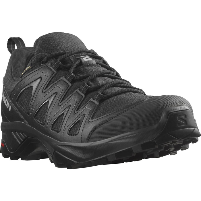 SALOMON skor X Braze GTX svart