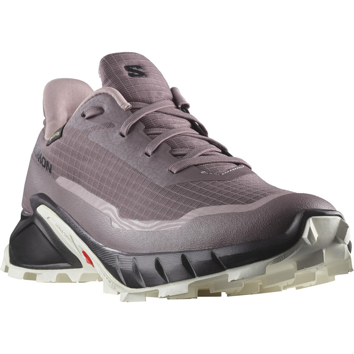 SALOMON Alphacross 5 GTX W violet/white/black skor