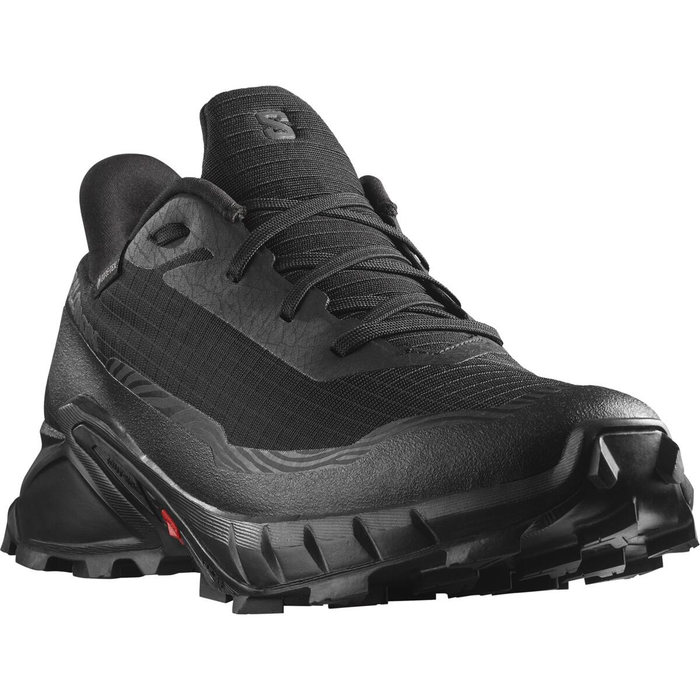 SALOMON skor Alphacross 5 GTX svart/svart/ebony