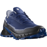 SALOMON shoes Alphacross 5 GTX blue print/lapis blue/whiute