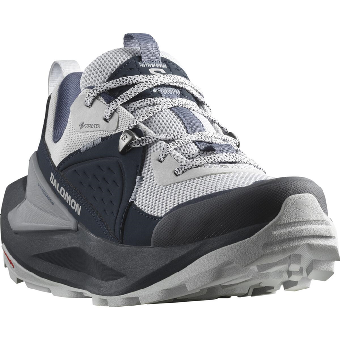 SALOMON shoes Elixir GTX W carbon/pearl blue/flint stone