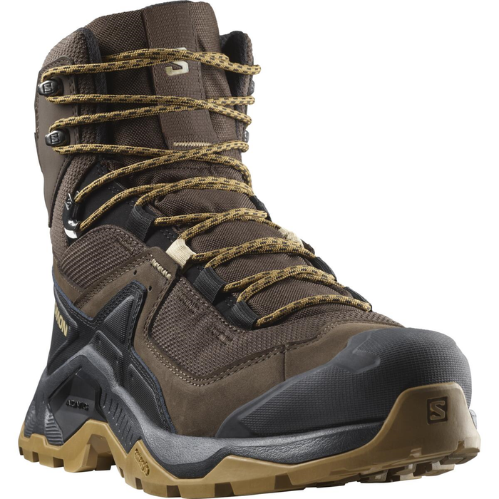 SALOMON shoes Quest Element GTX delicioso/black/dull gold