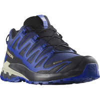 SALOMON shoes XA Pro 3D V9 GTX blue print/surf the web/lapis blue