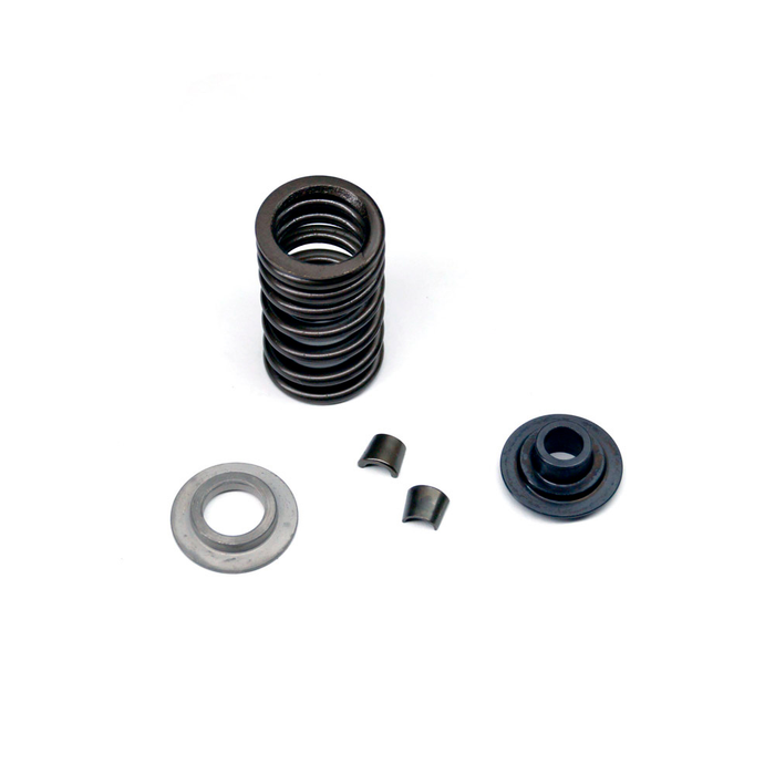 HUSQVARNA valve spring kit 450/501 '19-'24