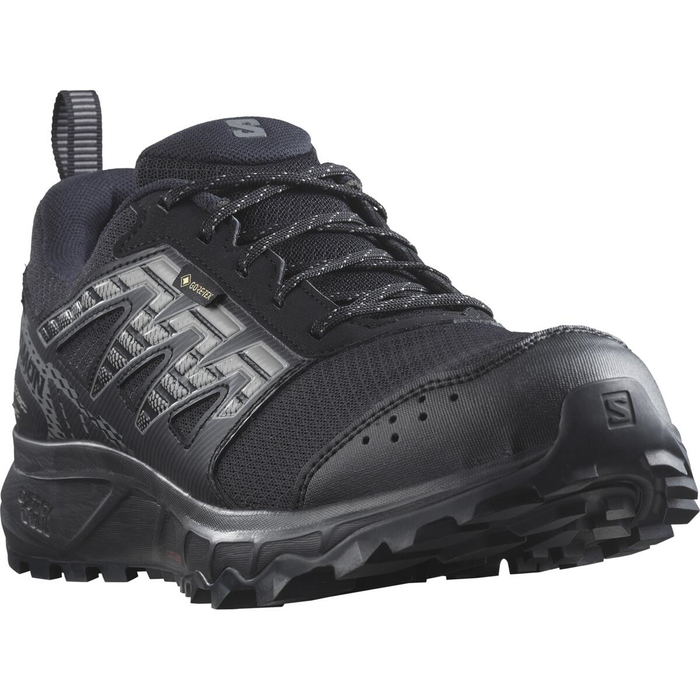 SALOMON shoes Wander GTX W black/plum kitten/gull