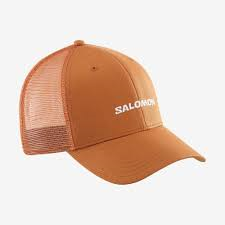 SALOMON Trucker brown hatt med spik
