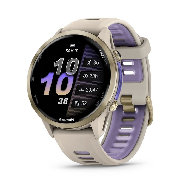 GARMIN Forerunner 965 GPS EMEA fransk grå/indigo
