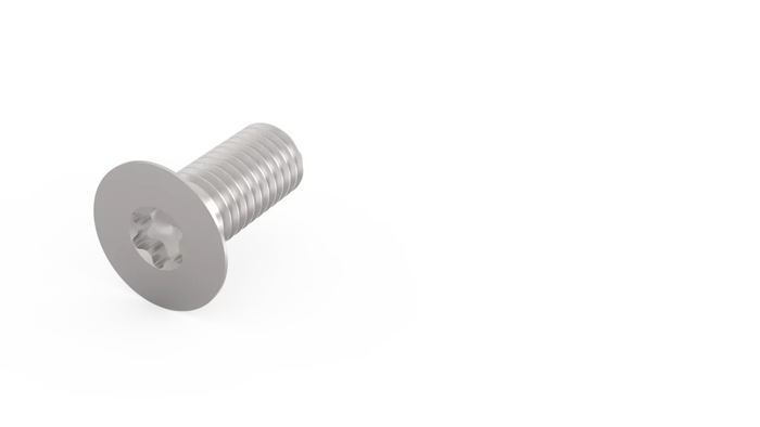 VHM screw M5x12 D7991-8.8 flathead Torx