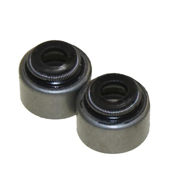 husqvarna-blivslegi-varstu-2gb-svr-125-20-25