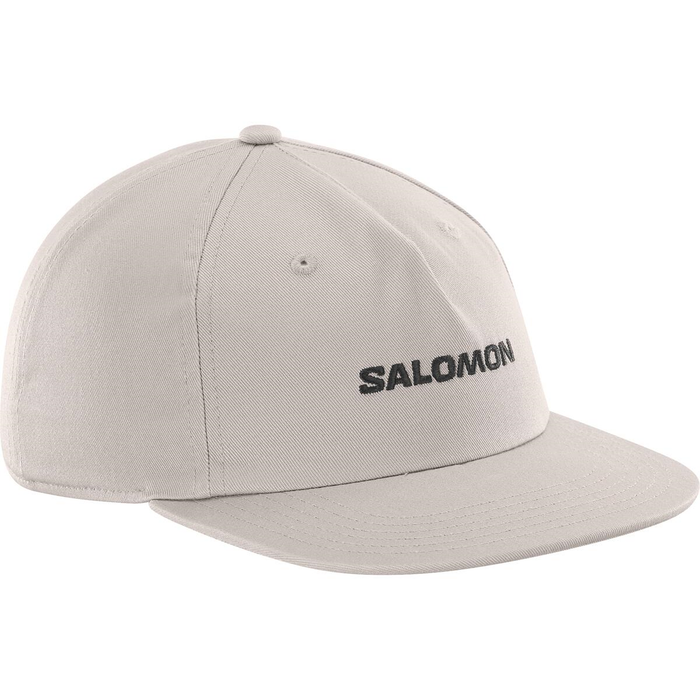 SALOMON keps Logo Flat etherea grå