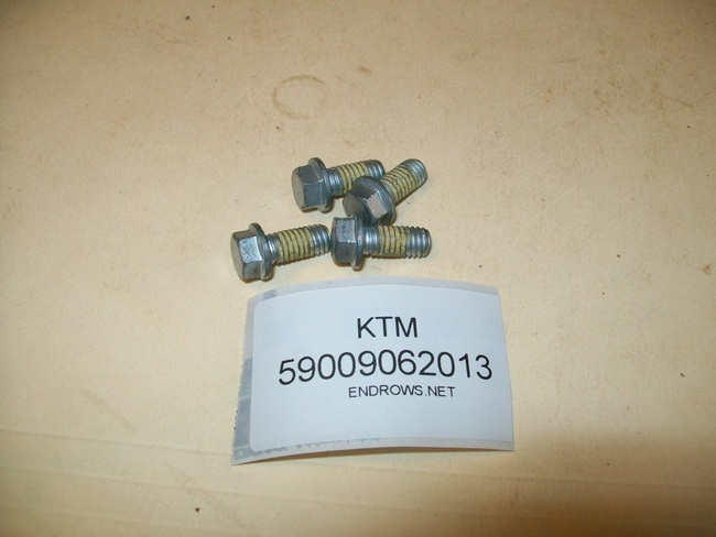 HUSQVARNA bolt brake disc M6x13 WS=8 10.9