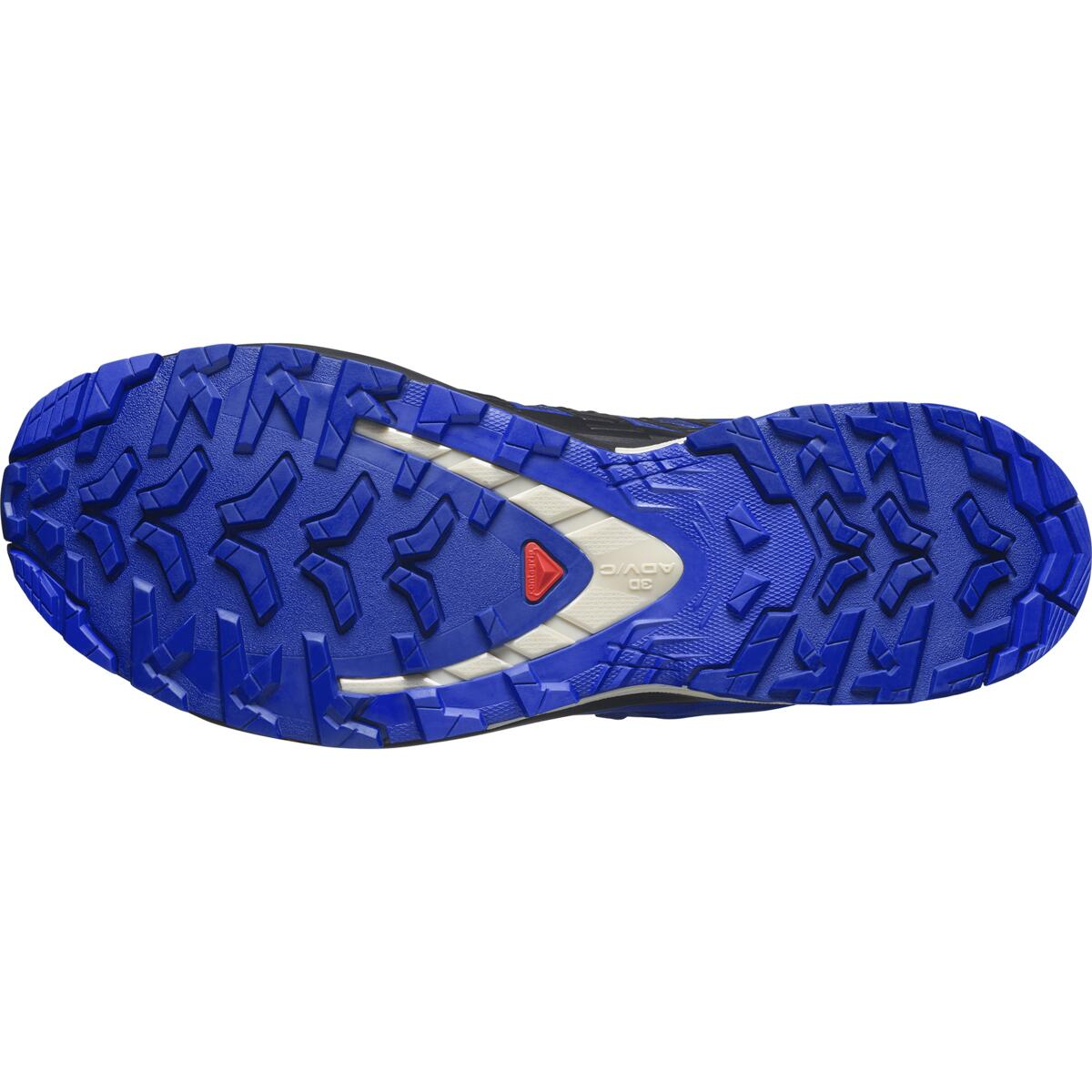 salomon-apavi-xa-pro-3d-v9-gtx-blue-black