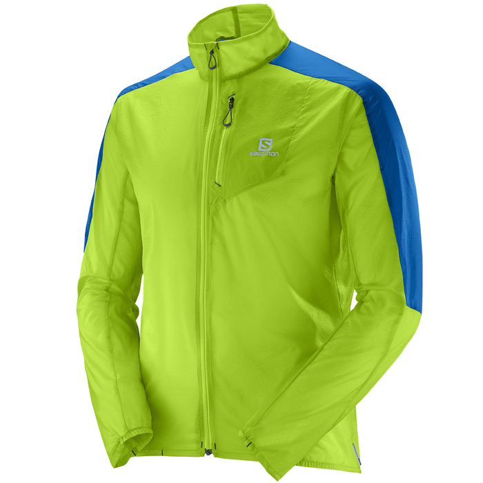 SALOMON windbrakeer Fast Wing green/blue