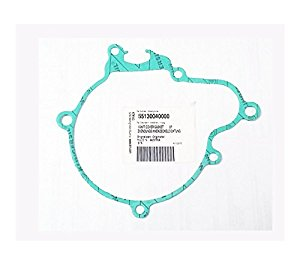 husqvarna-blive-aizdedzes-vakam-te-250-300-14