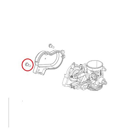 HUSQVARNA skruv för gasvajerskydd på spruta