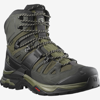 SALOMON skor Quest 4 GTX grön/svart