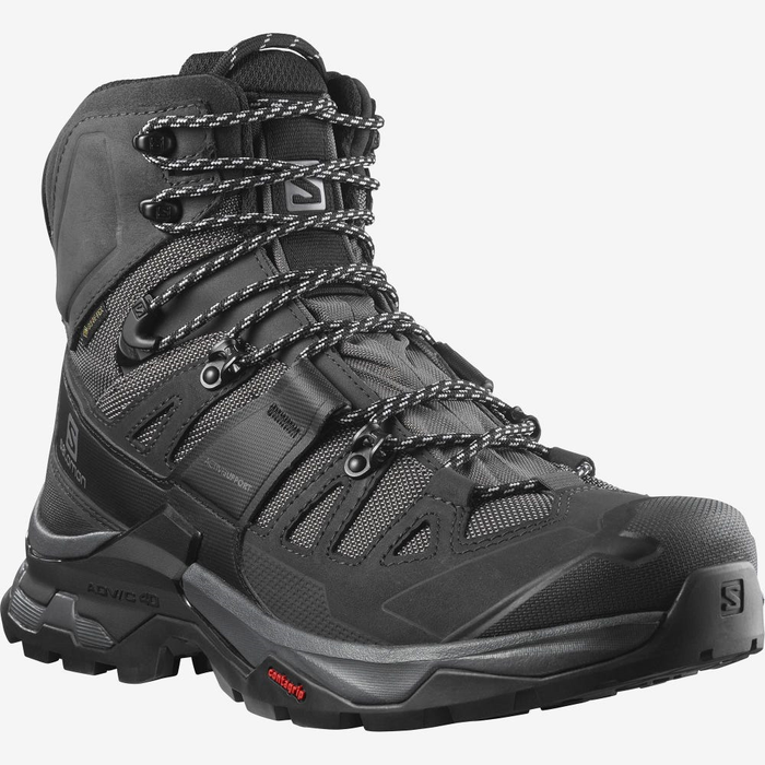 SALOMON shoes Quest 4 GTX magnet/black/quarry