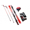 Alpine skiing