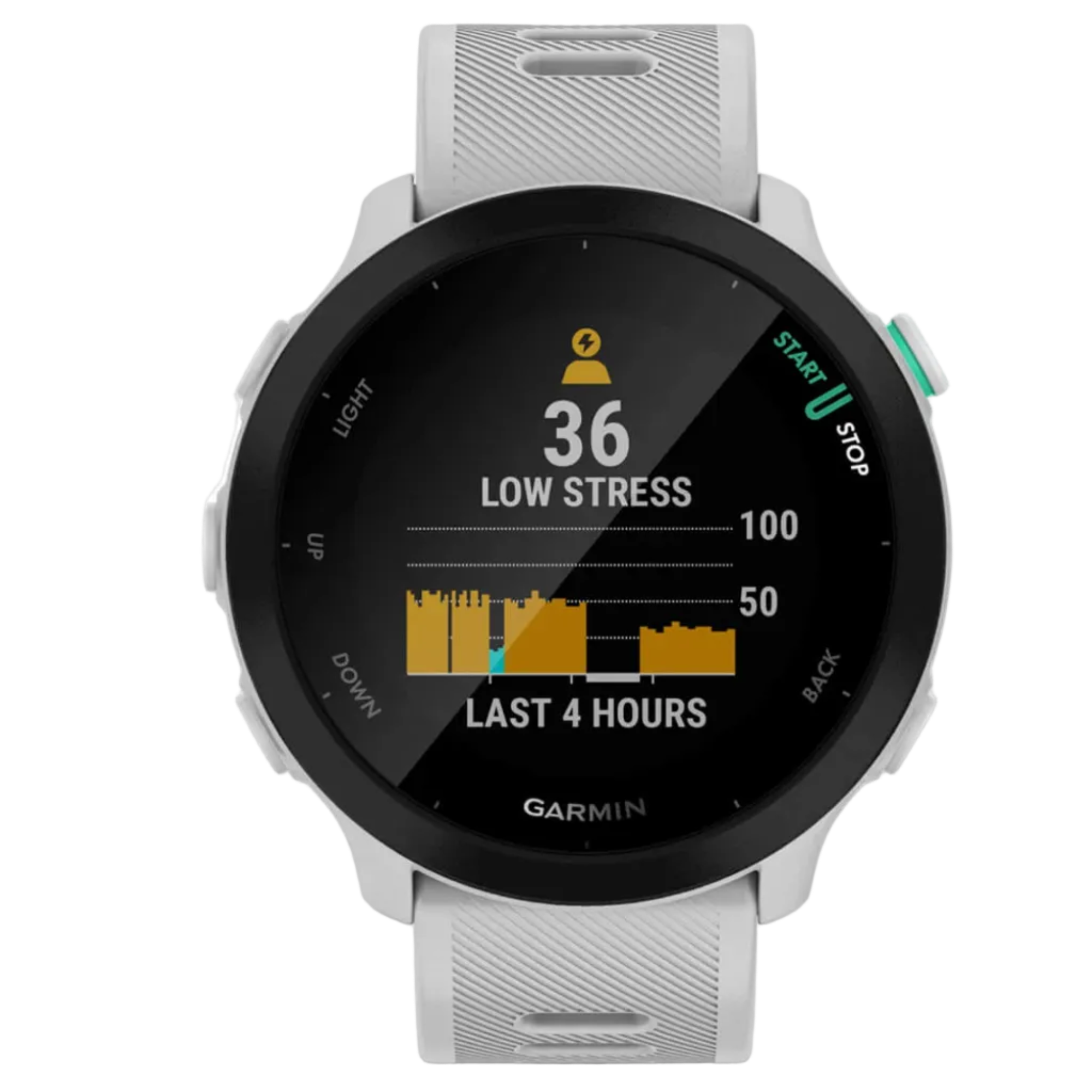 GARMIN-klocka Forerunner 55 GPS EURC whitestone