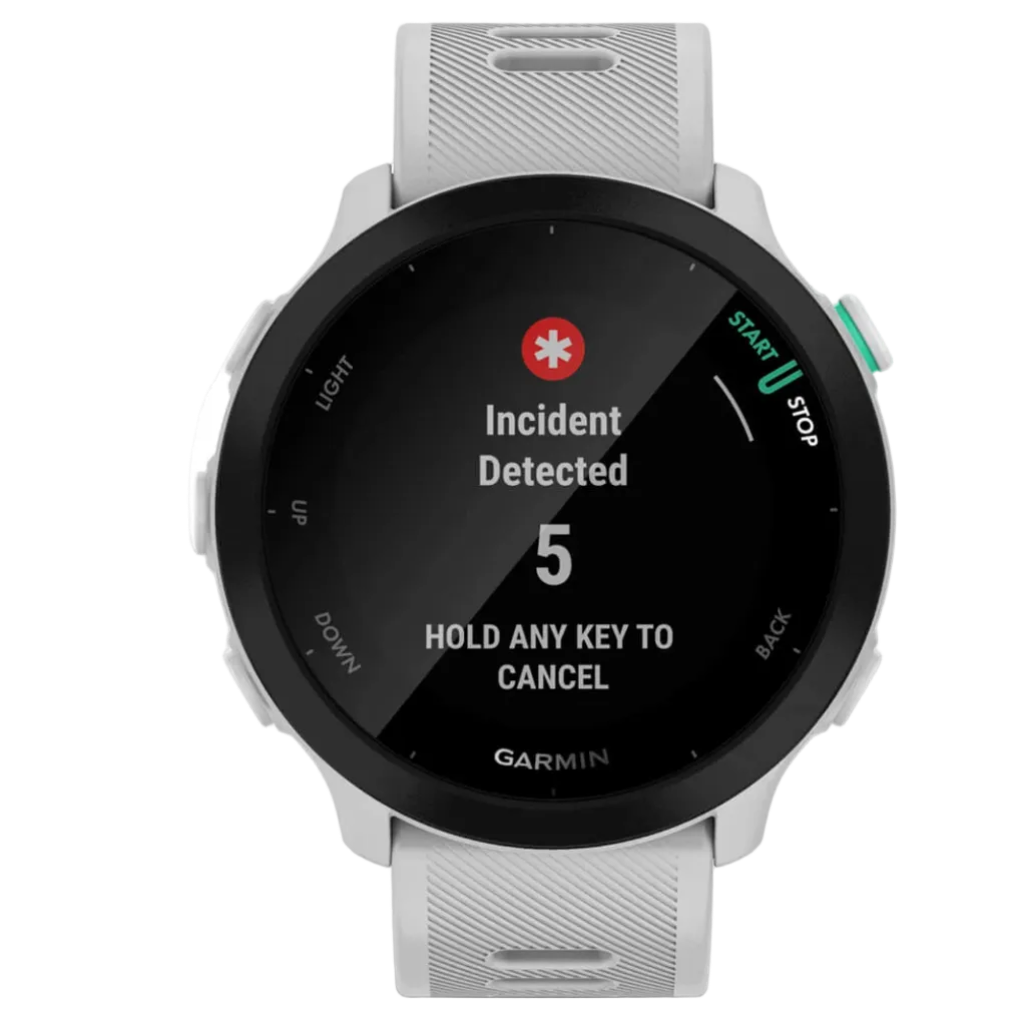 GARMIN-klocka Forerunner 55 GPS EURC whitestone