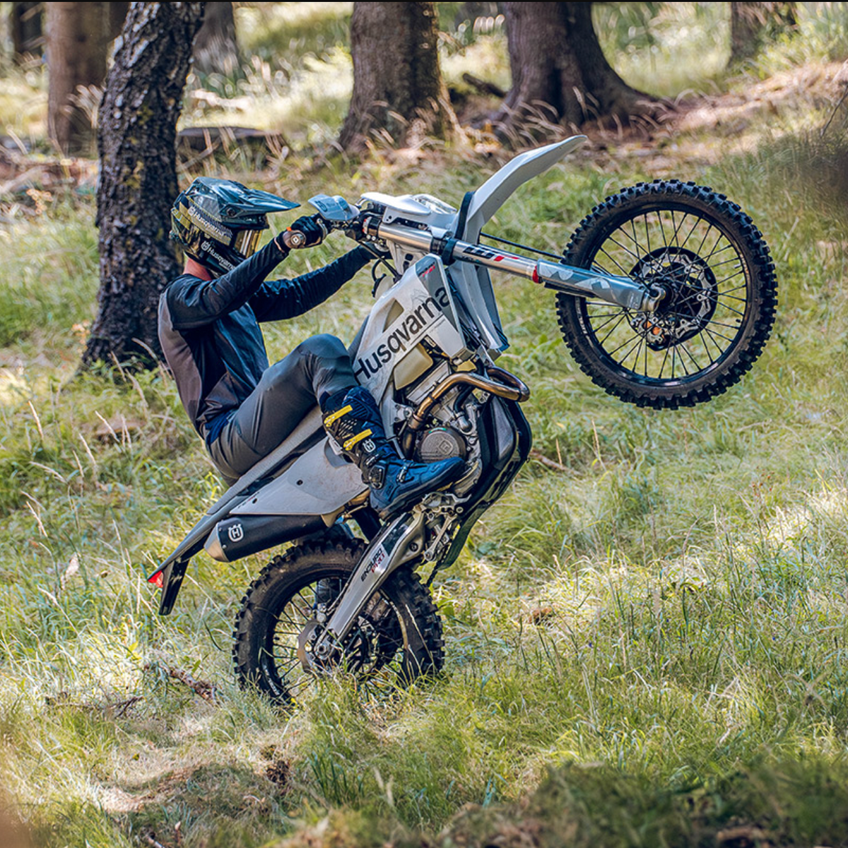 HUSQVARNA motorcykel FE 350 PRO '27