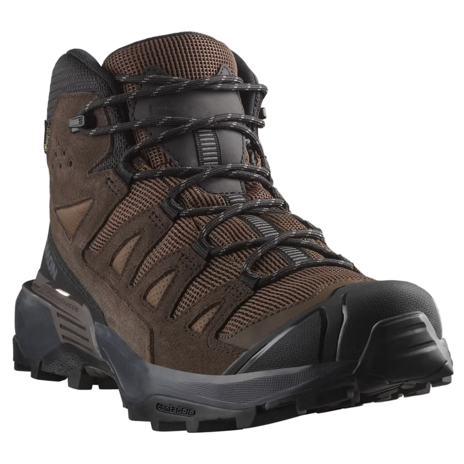 SALOMON skor X Ultra 360 LTR Mid GTX dark earth/delicioso/castlerock
