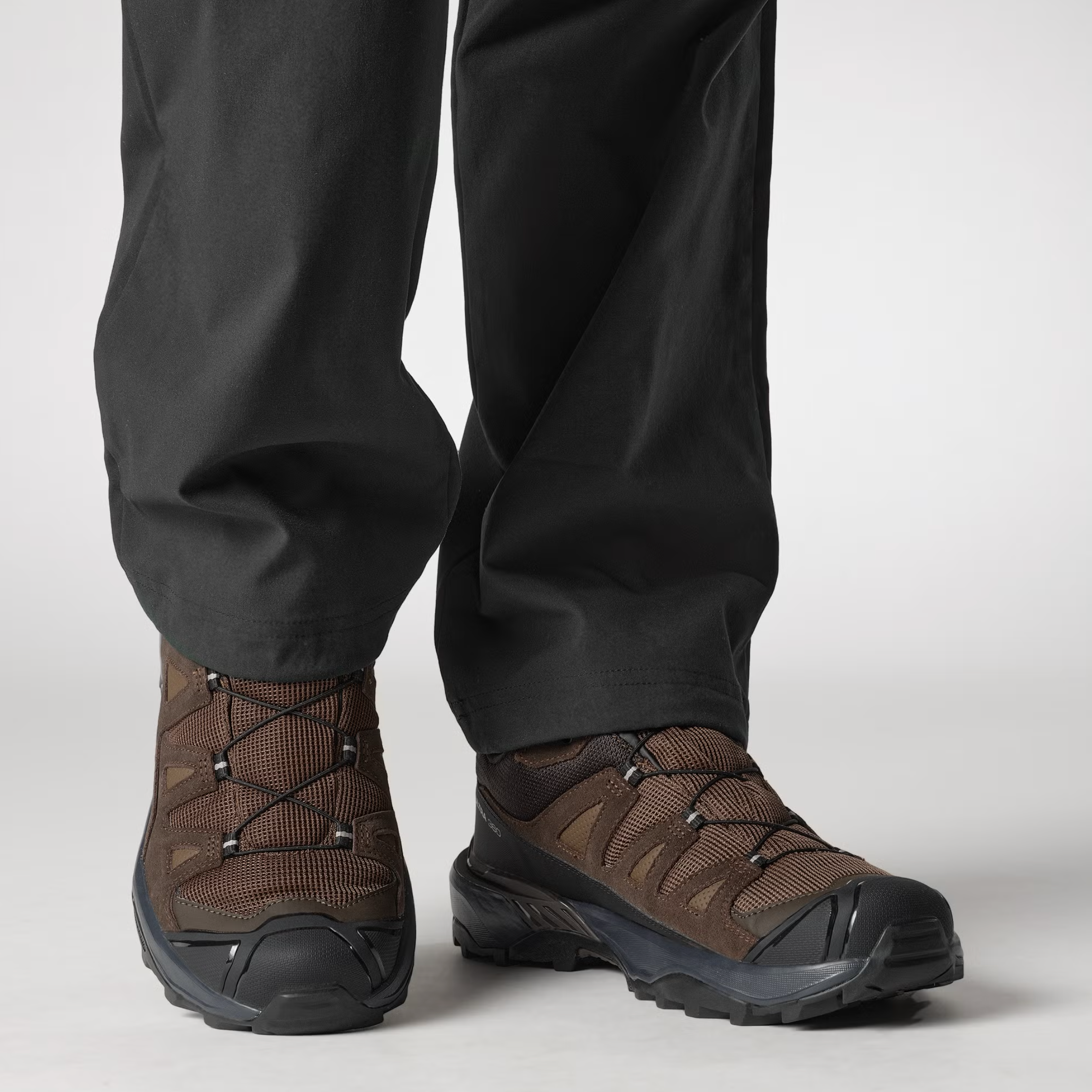 SALOMON skor X Ultra 360 LTR GTX dark earth/delicioso/sharkskin