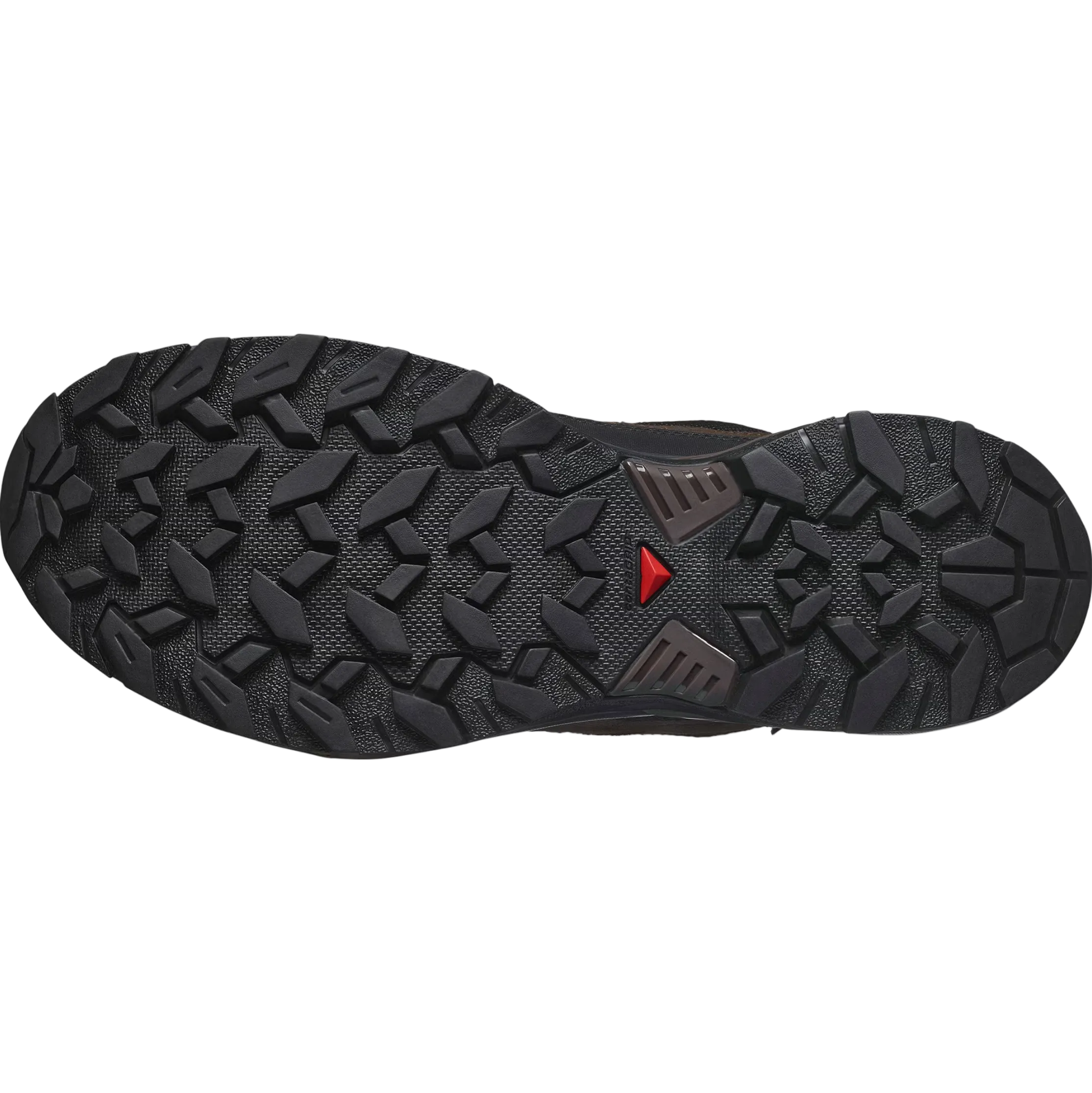 SALOMON skor X Ultra 360 LTR GTX dark earth/delicioso/sharkskin