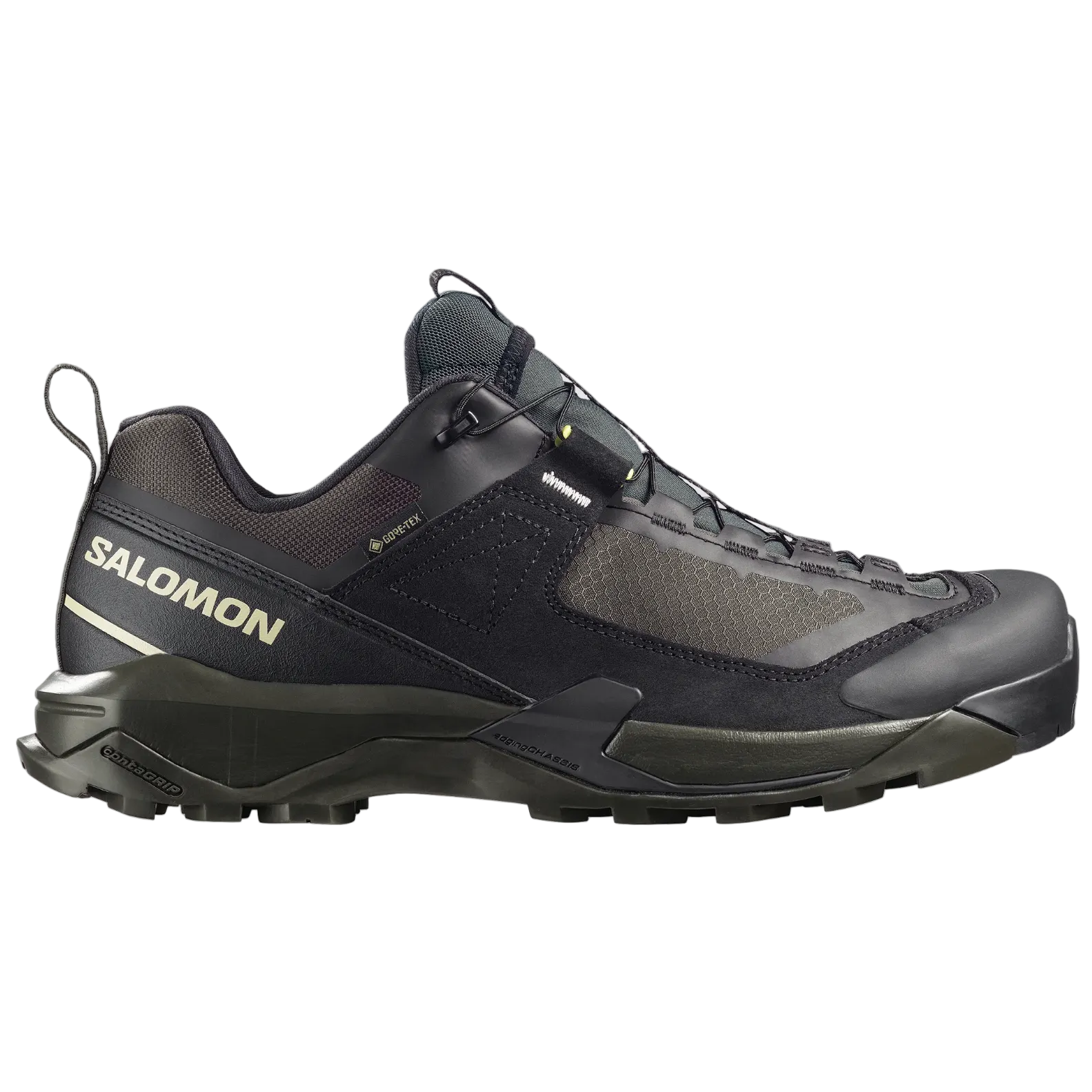 SALOMON-skor X Ultra Alpine GTX svart/torv/aspargusgrön