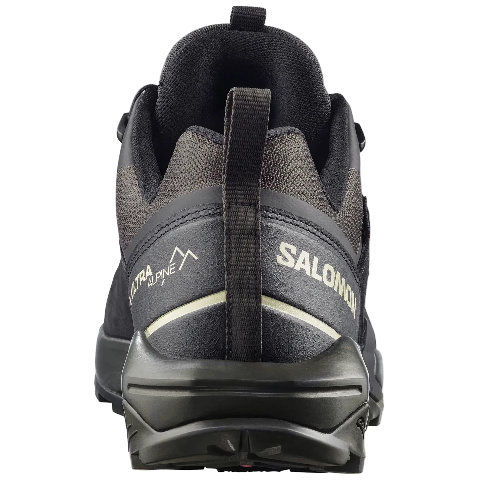 SALOMON-skor X Ultra Alpine GTX svart/torv/aspargusgrön