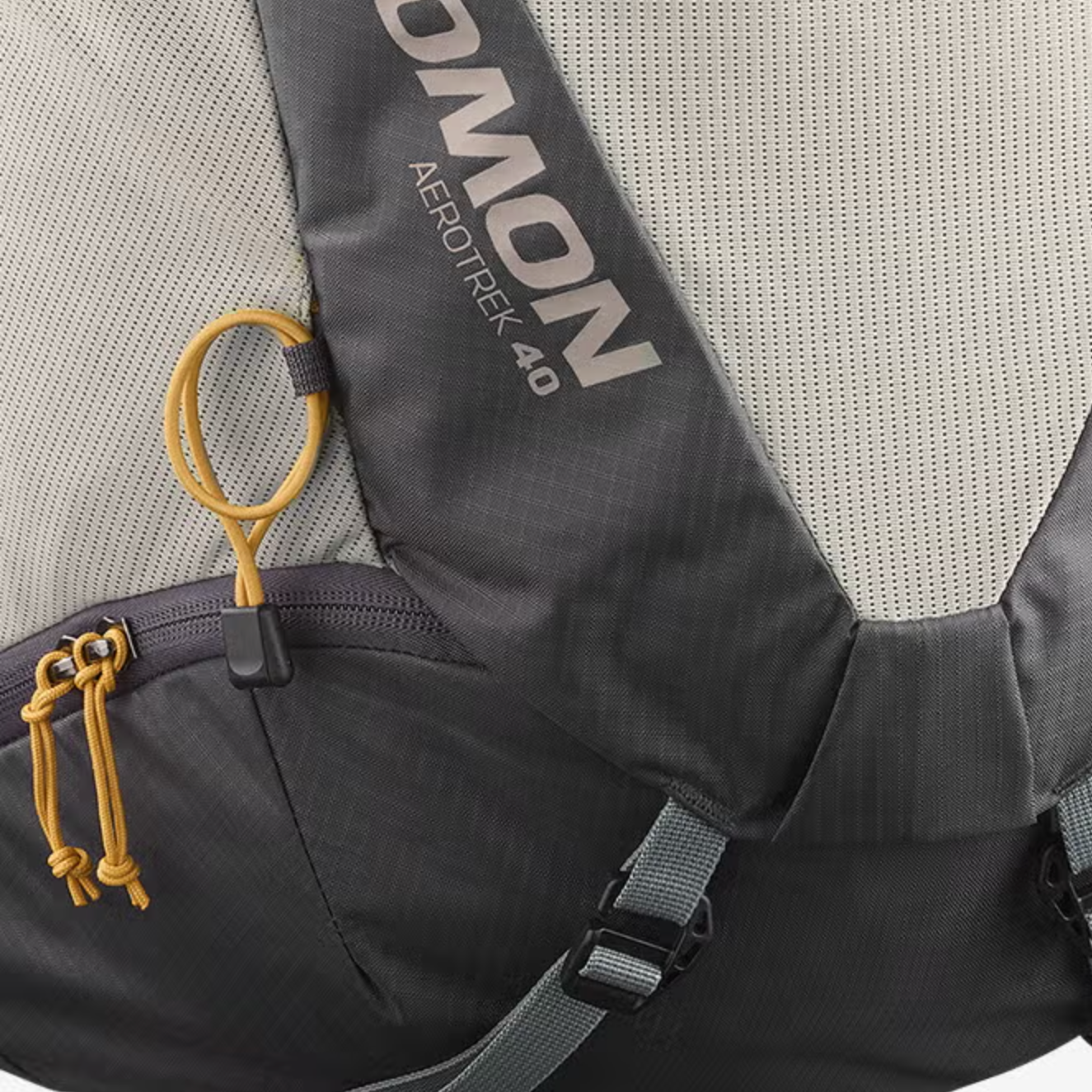 SALOMON backpack Aerotrek 40 sedona sage/seagrass/cress green