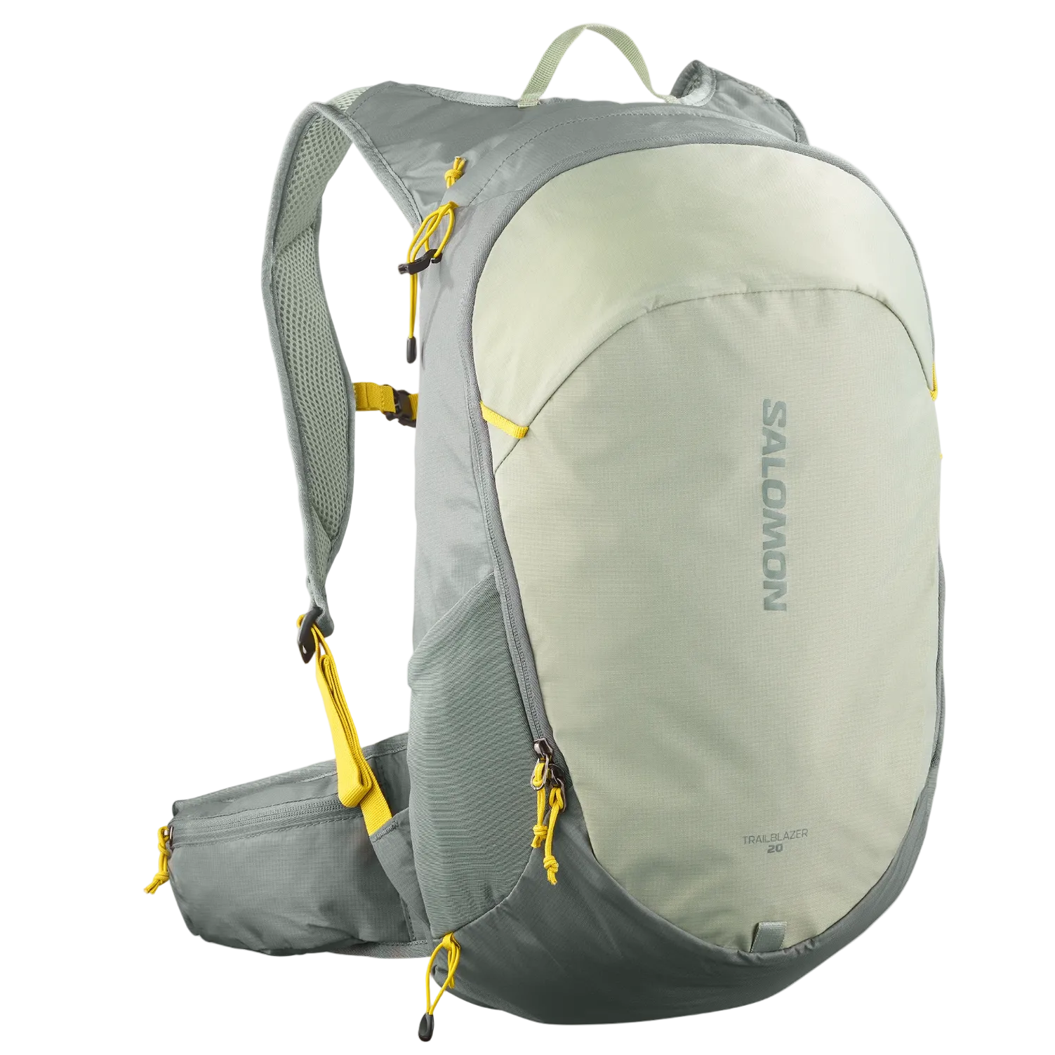 SALOMON backpack Trailblazer 20 sedona sage/seagrass/cress grey