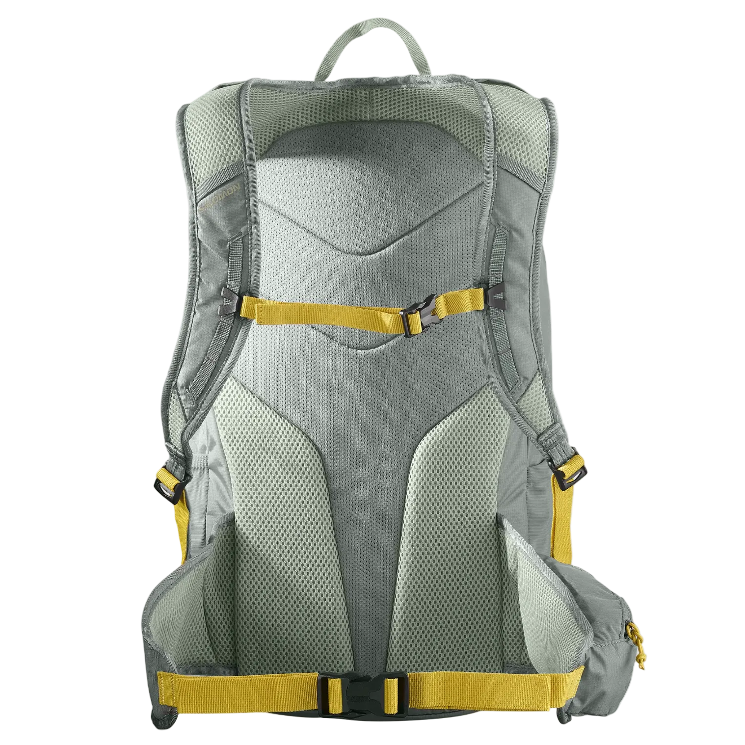 SALOMON backpack Trailblazer 20 sedona sage/seagrass/cress grey